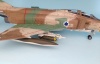F-4E IAF