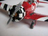 T6 Onix