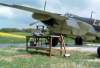 Mosquito