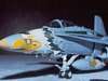 F/A18