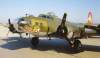 B17G