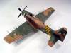 Skyraider