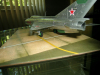 Mig21