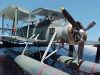 Swordfish