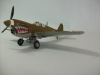 P40N