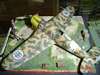 FIAT G 50