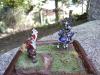 Samurais